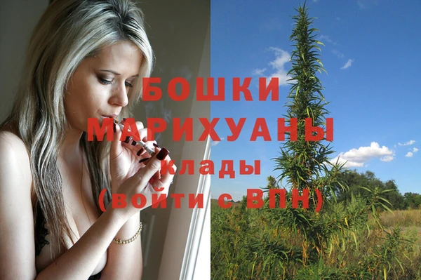 бошки Алексин