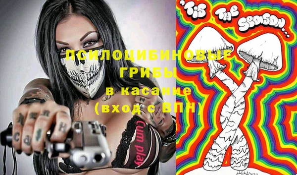 бошки Алексин
