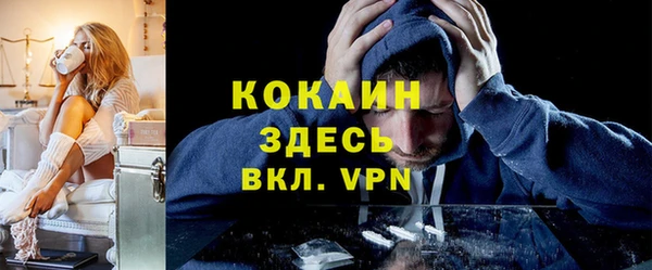 бошки Алексин